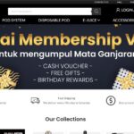 VMO电子烟woocommerce独立站建站运营引流推广