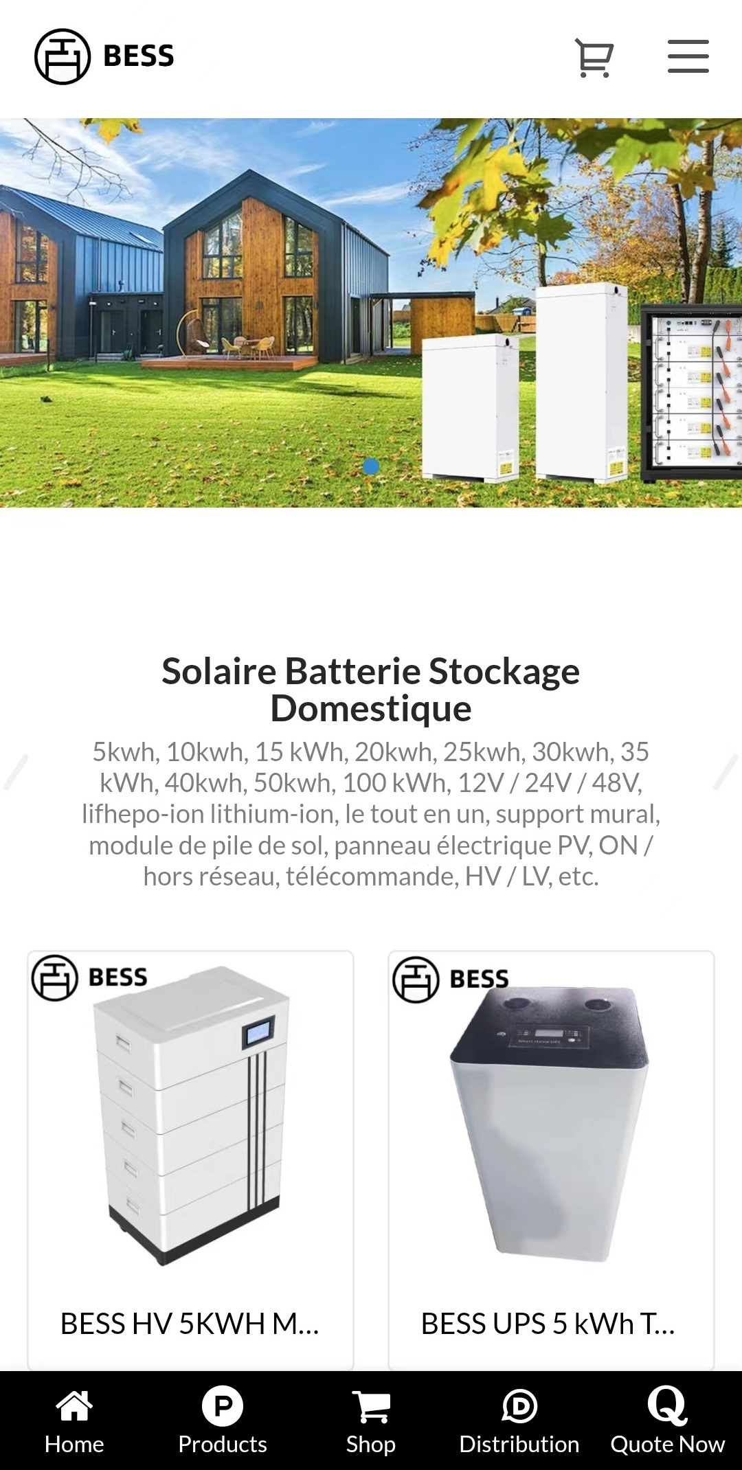 家用储能电池法语小语种网站建设独立站运营引流营销推广案例