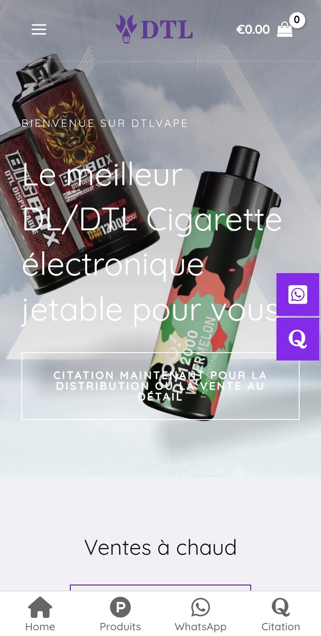 电子烟外贸跨境独立站法语建站运营引流推广